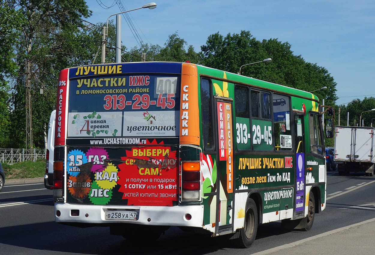 Ленинградская область, ПАЗ-320402-05 № В 258 УА 47