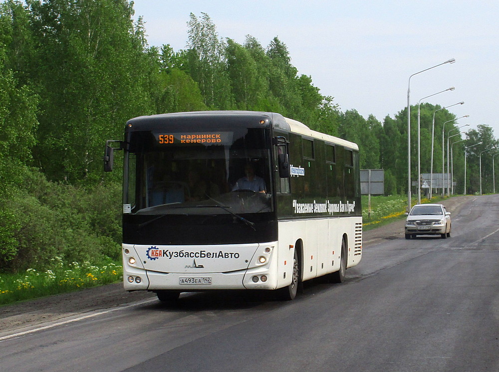 Кемеровская область - Кузбасс, МАЗ-231.062 № 103