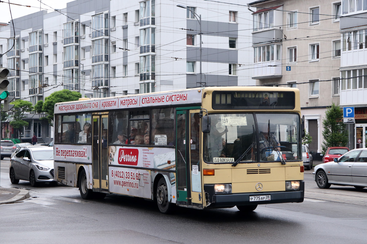 Калининградская область, Mercedes-Benz O405 № Р 775 АР 39