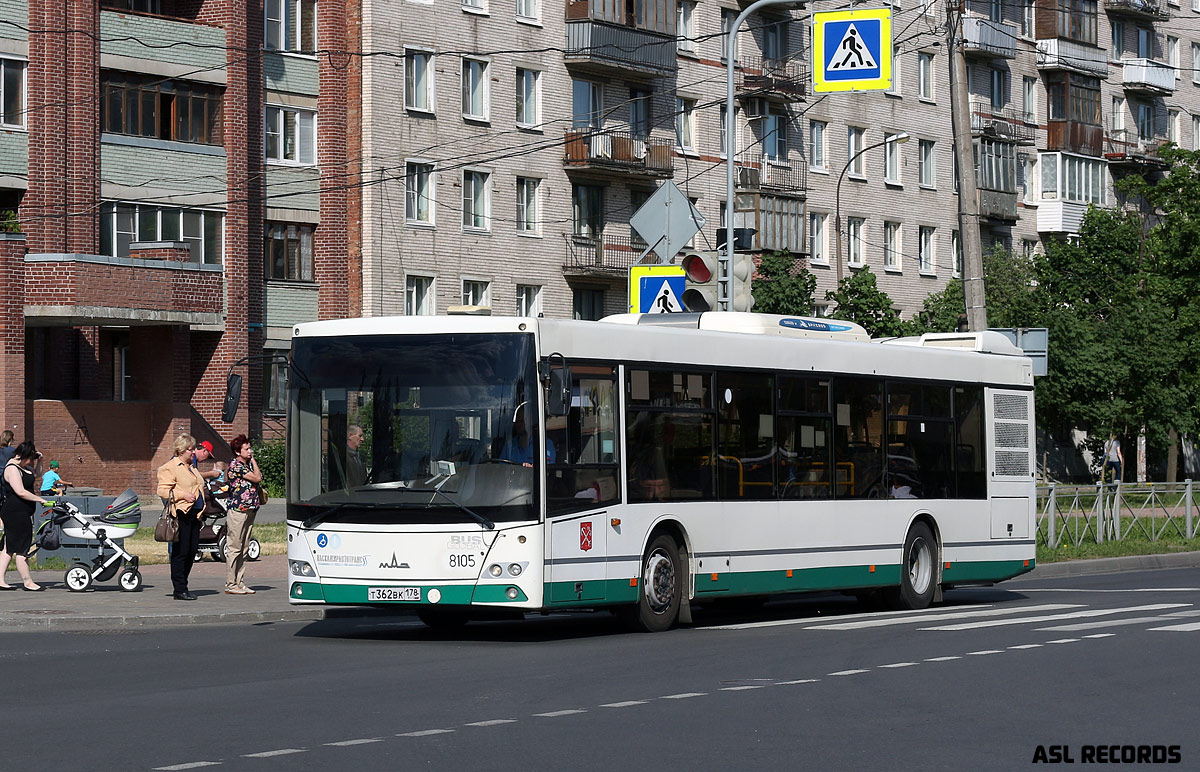 Санкт-Петербург, МАЗ-203.085 № 8105