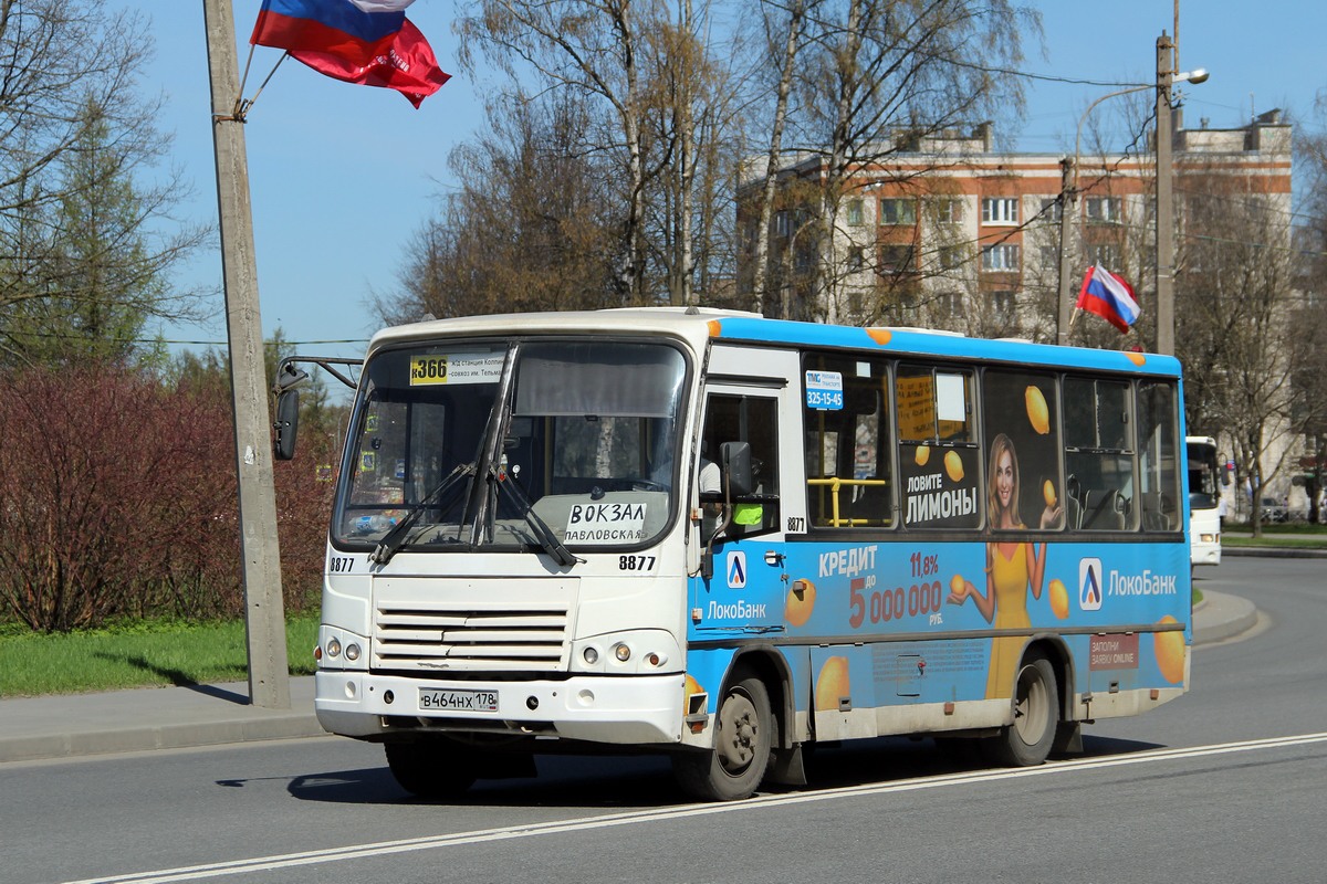 Санкт-Петербург, ПАЗ-320402-05 № 8877