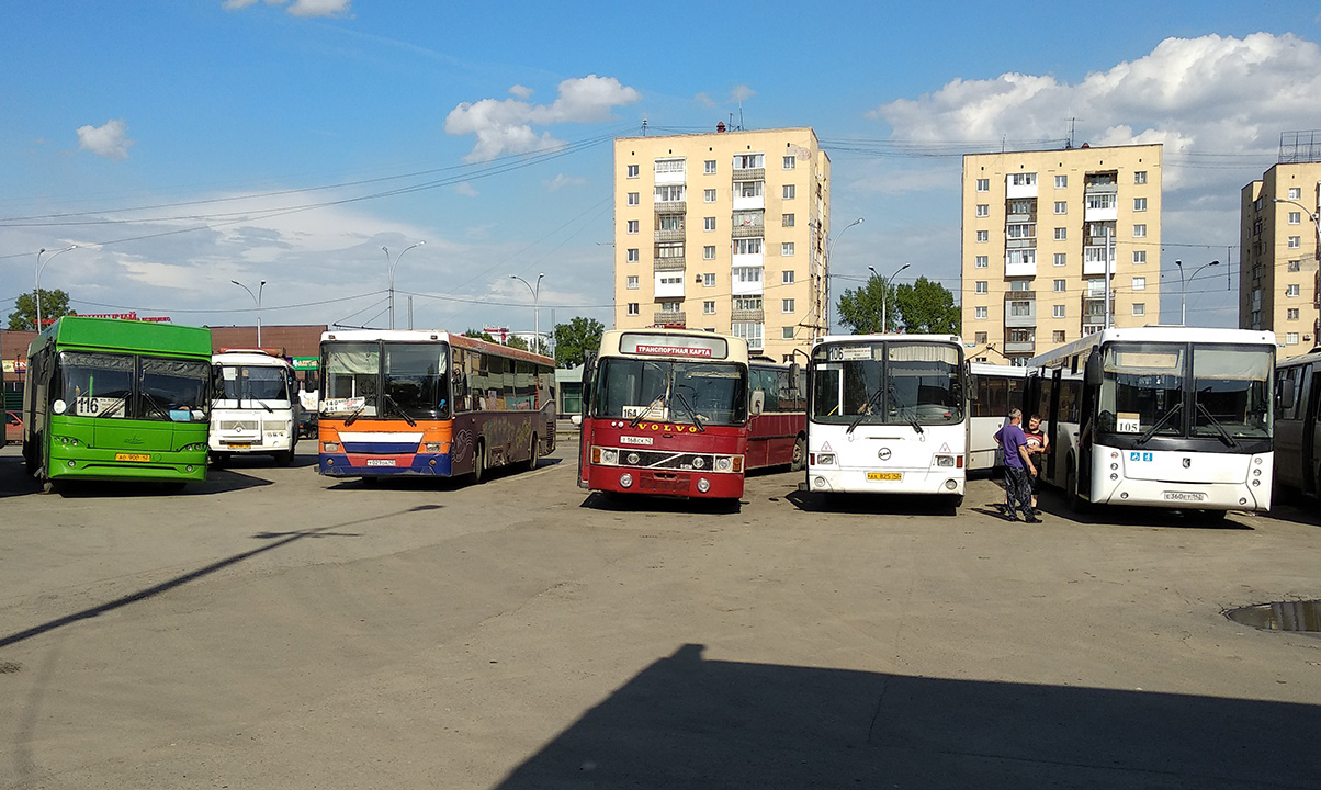 Kemerovo region - Kuzbass, MAZ-105.465 # 280; Kemerovo region - Kuzbass, NefAZ-5299 # 169; Kemerovo region - Kuzbass, Van Hool T8 Alizée 210 # 124; Kemerovo region - Kuzbass, LiAZ-6212.00 # 225; Kemerovo region - Kuzbass, NefAZ-5299-30-42 # 127