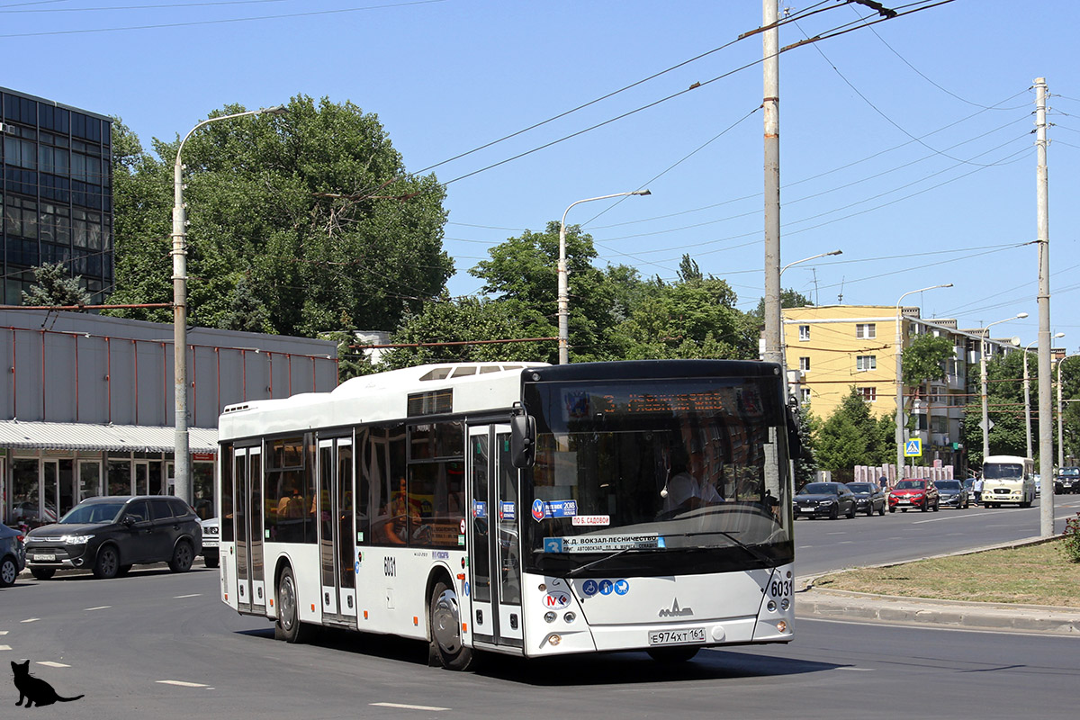 Ростовская область, МАЗ-203.069 № 6031