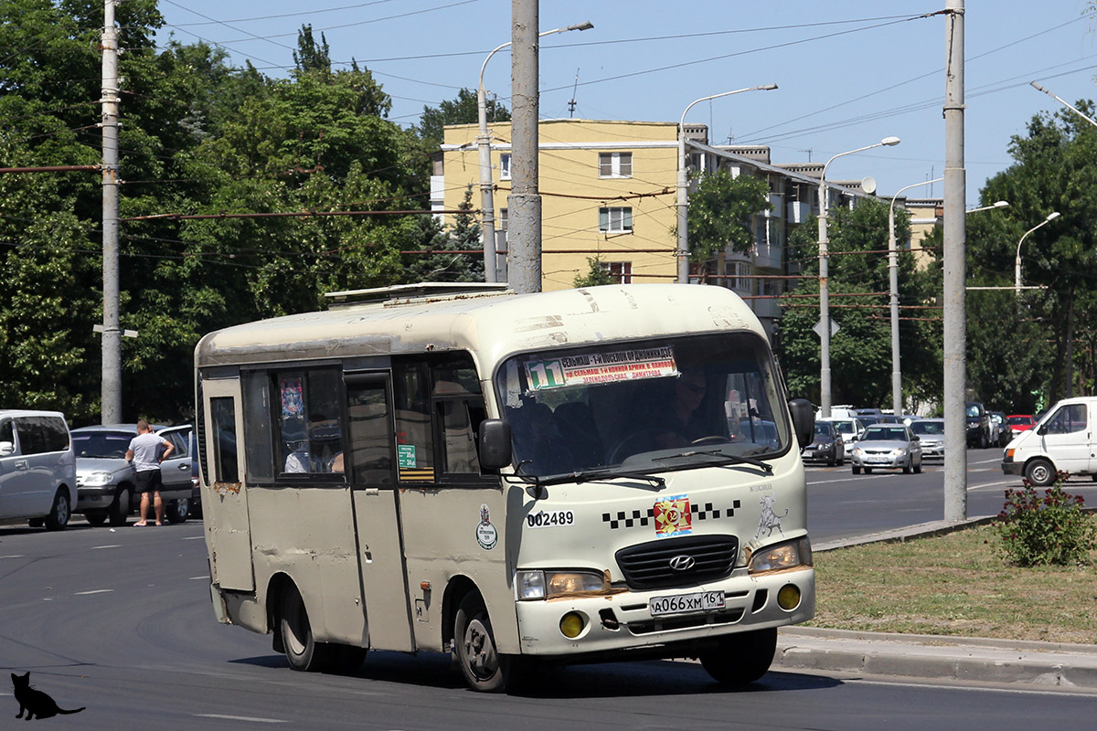 Ростовская область, Hyundai County SWB C08 (РЗГА) № 002489