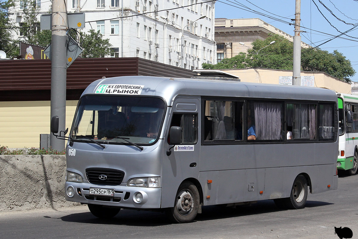 Ростовская область, Hyundai County LWB C09 (ТагАЗ) № 050