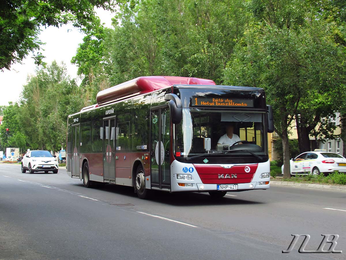 Венгрия, MAN A21 Lion's City NL273 CNG № NHP-421