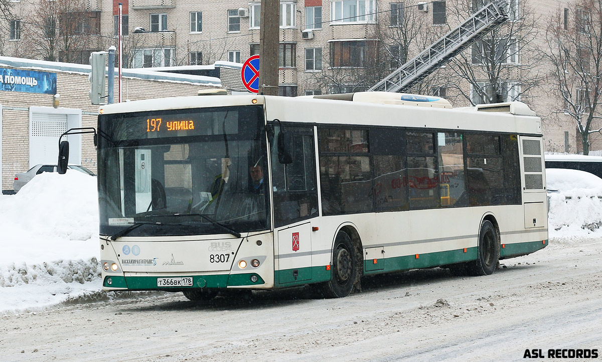 Санкт-Петербург, МАЗ-203.085 № 8307