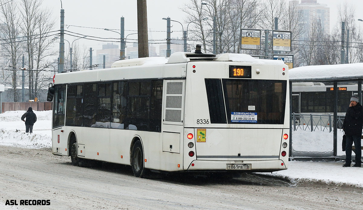 Санкт-Петербург, МАЗ-203.085 № 8336