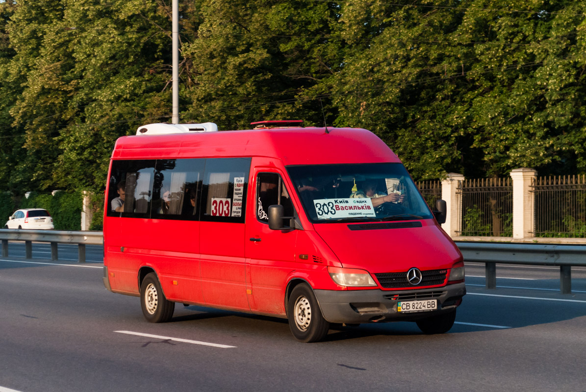 Киевская область, Mercedes-Benz Sprinter W903 311CDI № CB 8224 BB