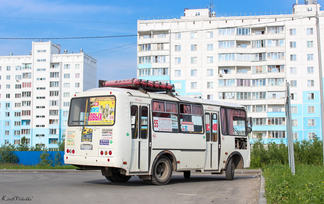 Новосибирская область, ПАЗ-32054 № Е 289 СА 154