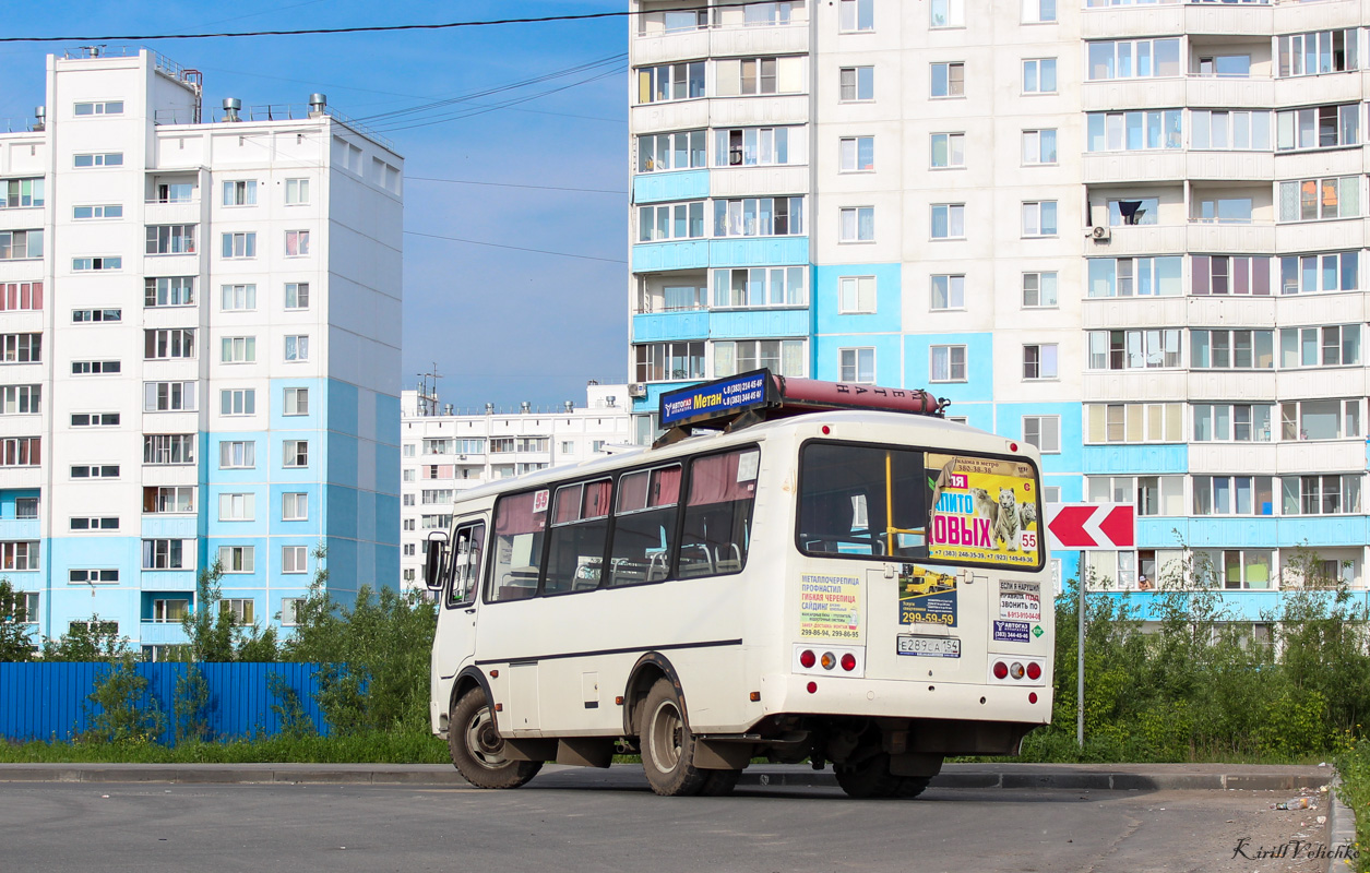 Новосибирская область, ПАЗ-32054 № Е 289 СА 154