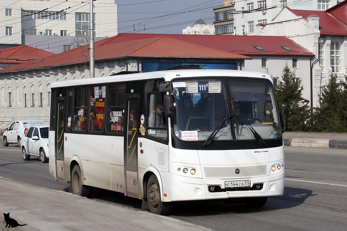 Белгородская область, ПАЗ-320412-05 "Вектор" № О 144 СА 31