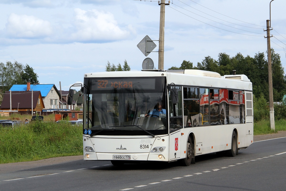 Санкт-Петербург, МАЗ-203.085 № 8314