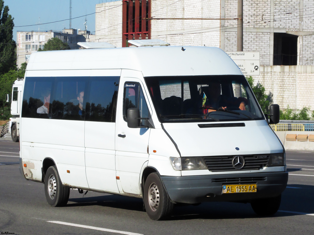 Днепропетровская область, Mercedes-Benz Sprinter W903 310D № AE 1955 AA