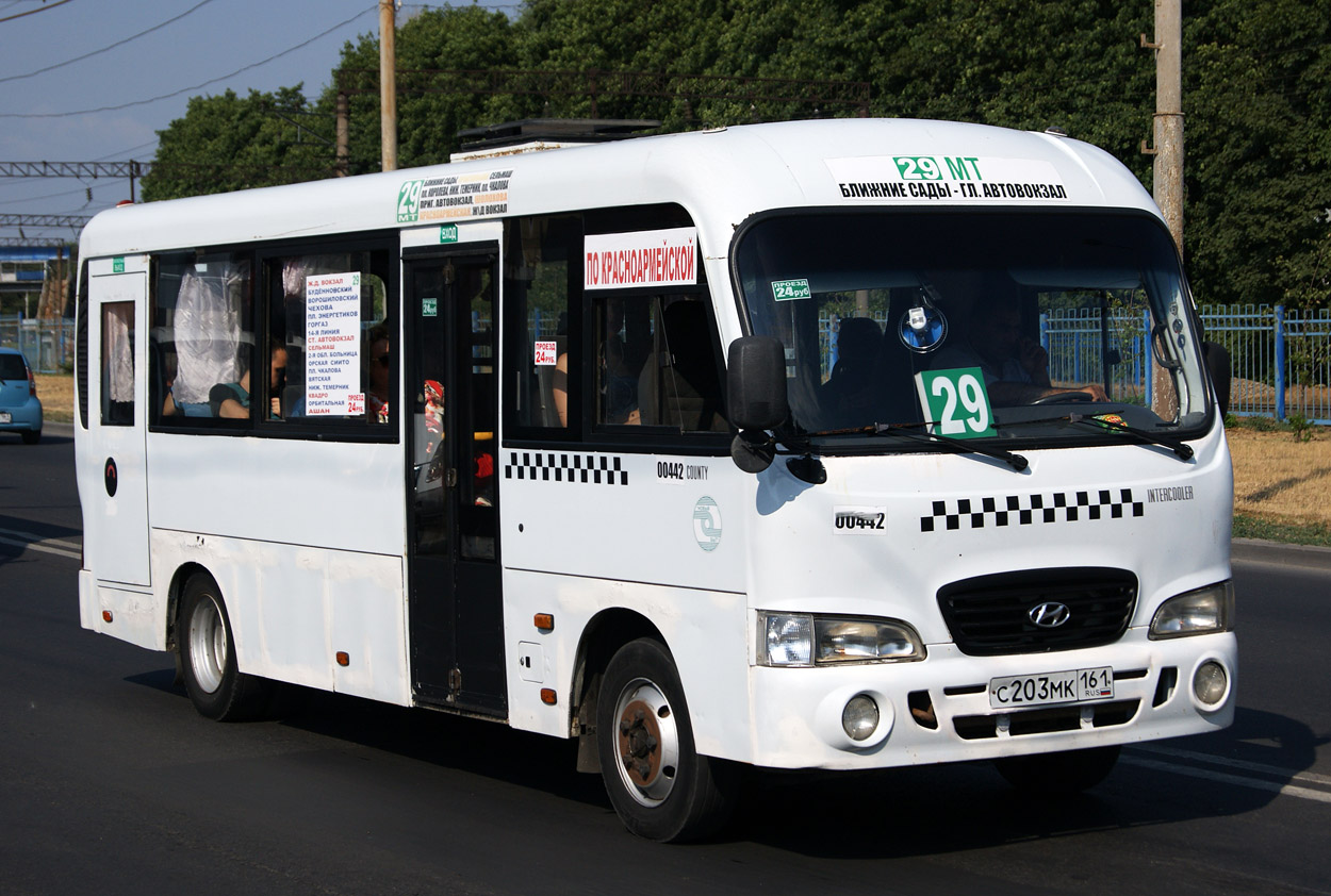 Ростовская область, Hyundai County LWB C09 (ТагАЗ) № 00442