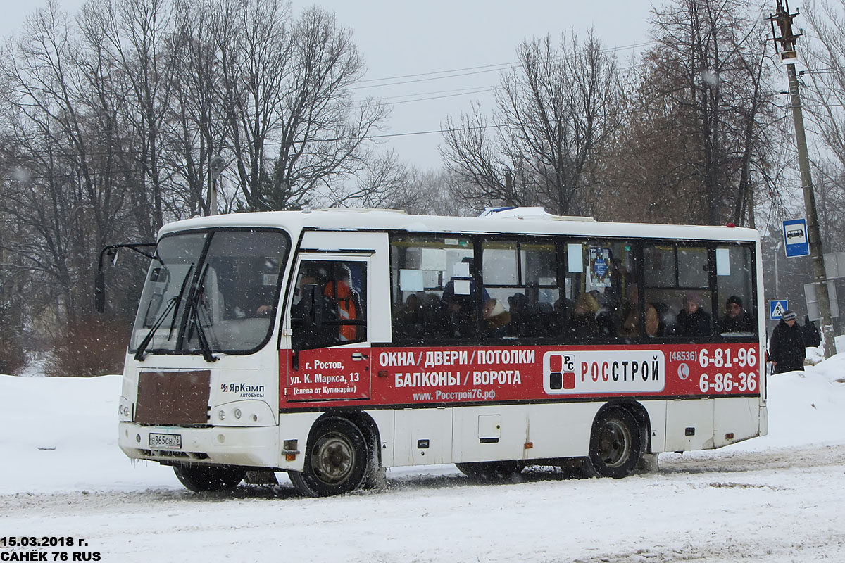 Ярославская область, ПАЗ-320402-05 № 242