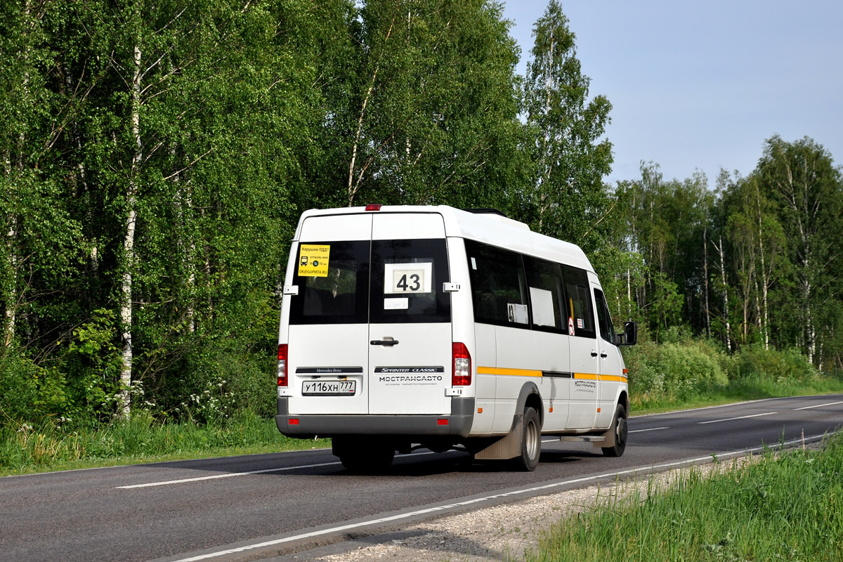 Московская область, Луидор-223237 (MB Sprinter Classic) № 4035