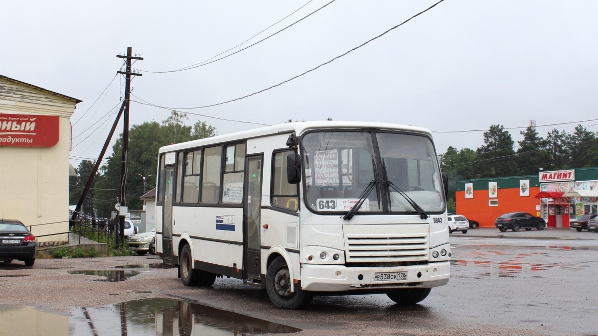 Ленинградская область, ПАЗ-320412-05 № 8943