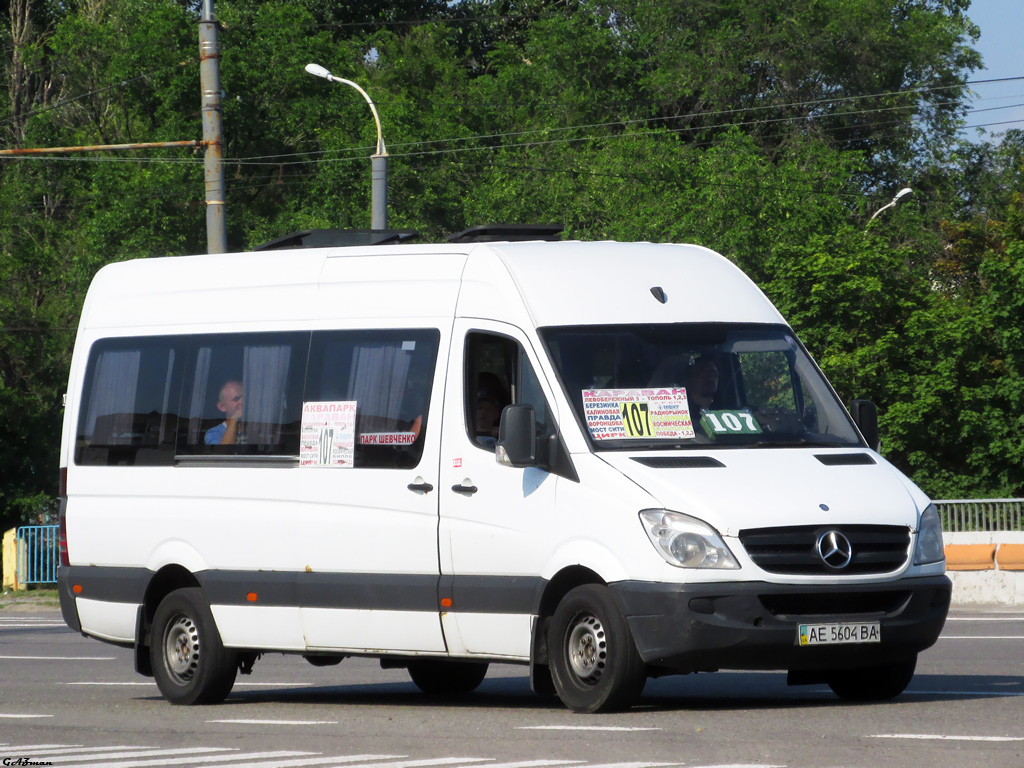 Днепропетровская область, Mercedes-Benz Sprinter W906 313CDI № AE 5604 BA