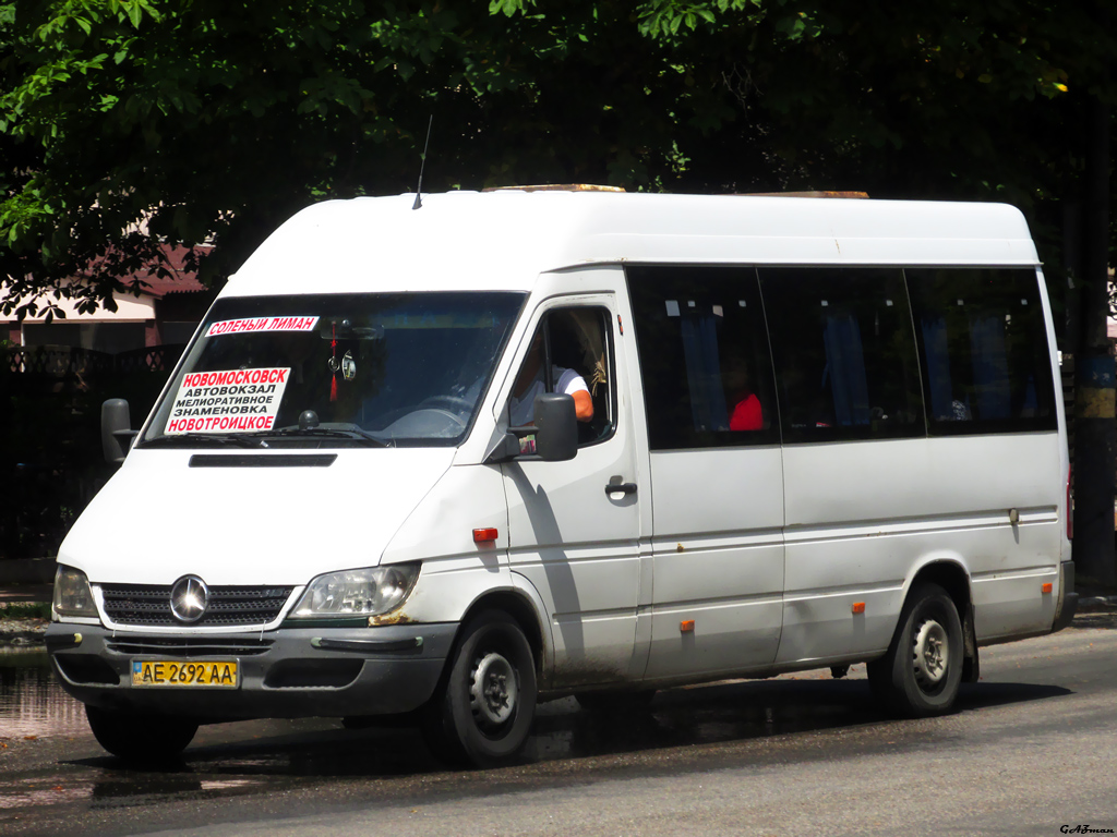 Днепропетровская область, Mercedes-Benz Sprinter W903 313CDI № 4242