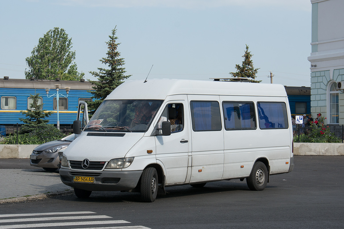 Запорожская область, Mercedes-Benz Sprinter W903 308CDI № AP 1454 AA