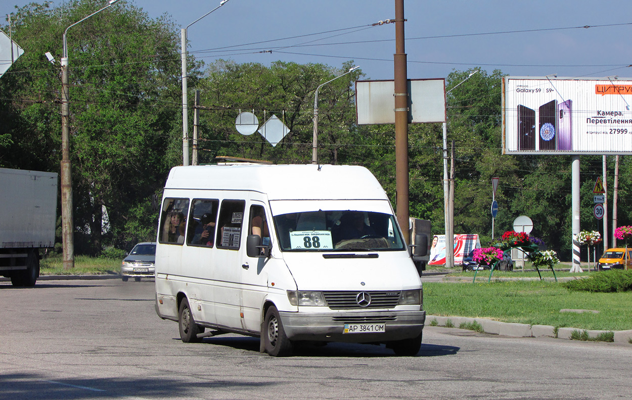 Запорожская область, Mercedes-Benz Sprinter W903 312D № AP 3841 CM