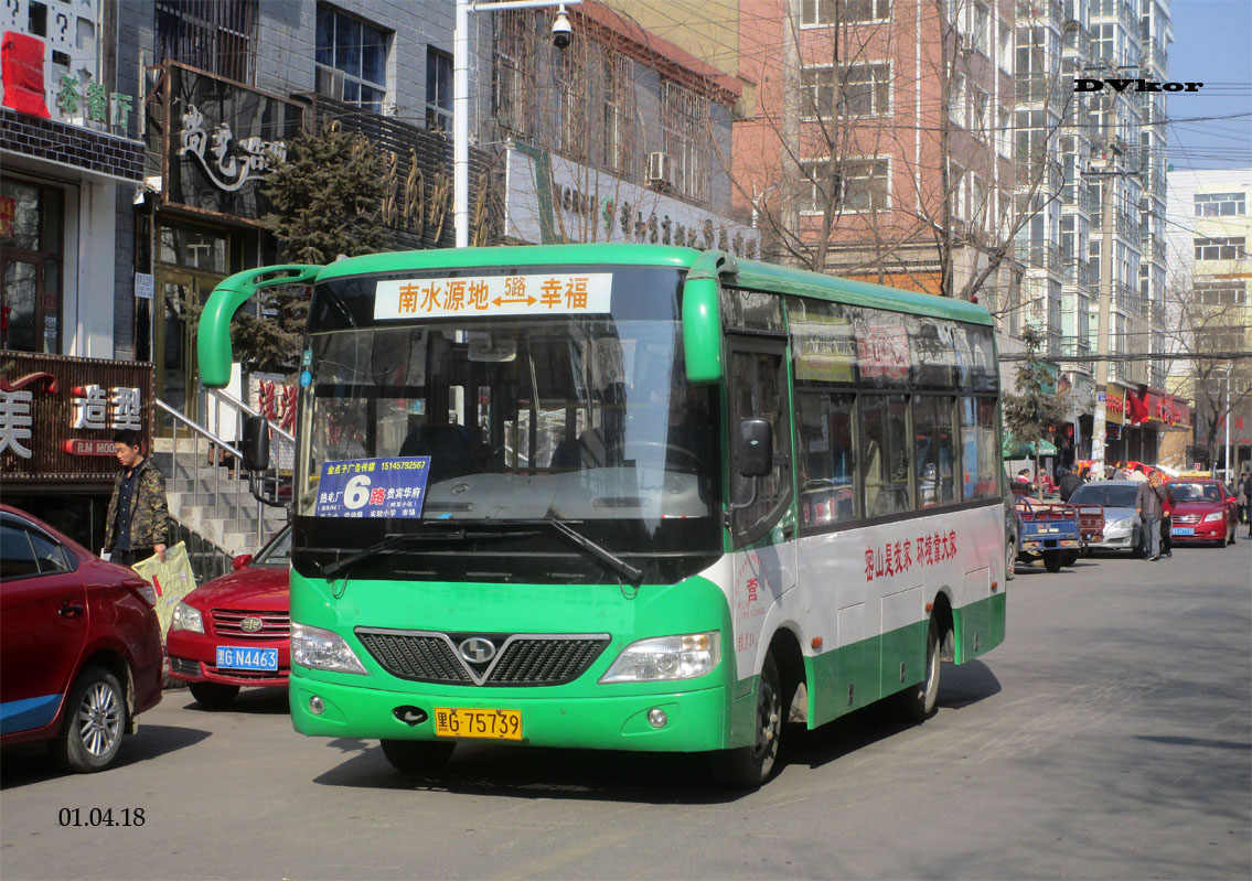 Китай, Shaolin SLG6660GE № 黑G 75739