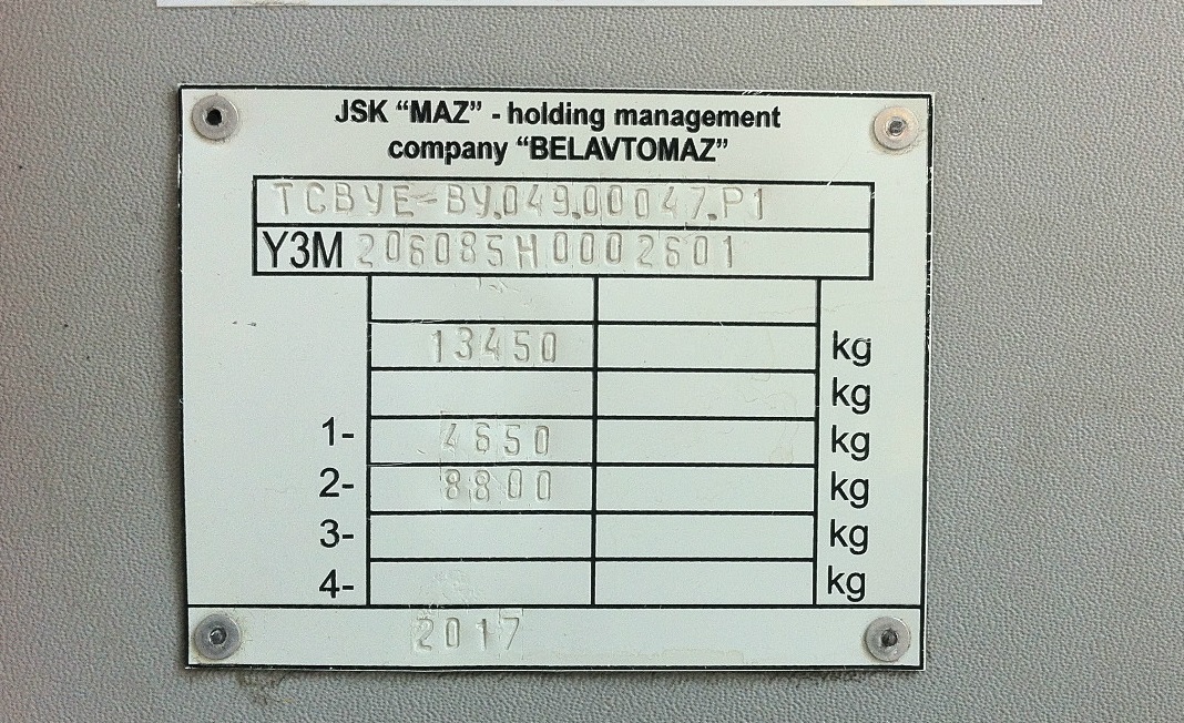 Архангельская область, МАЗ-206.085 № М 389 МО 29