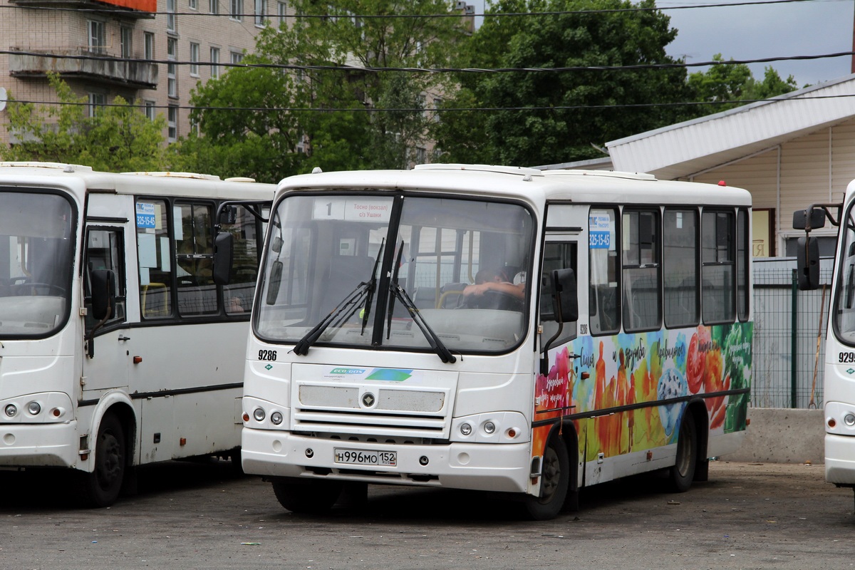 Ленинградская область, ПАЗ-320302-08 № 9286