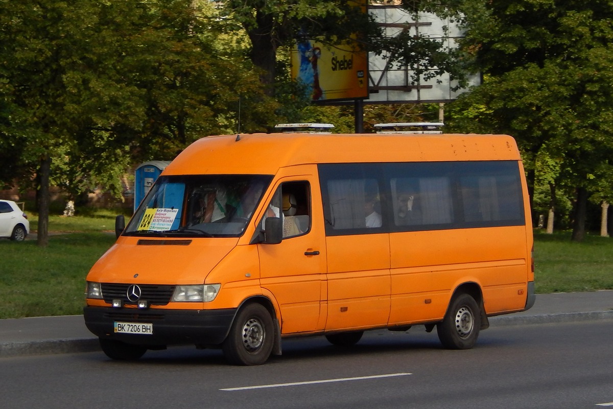 Киев, Mercedes-Benz Sprinter W903 312D № BK 7206 BH