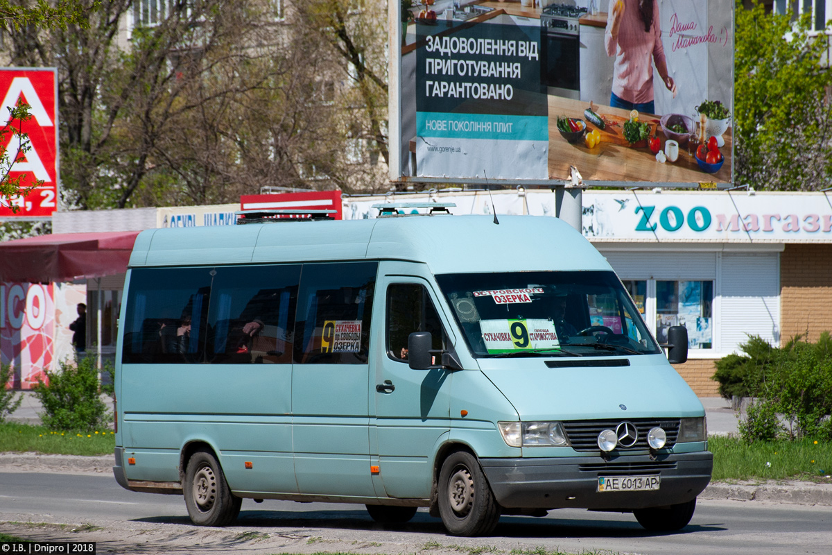 Днепропетровская область, Mercedes-Benz Sprinter W903 312D № AE 6013 AP