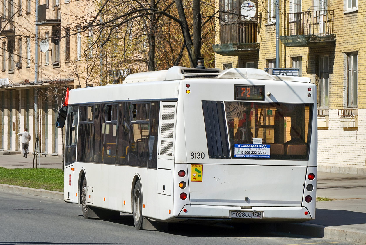 Санкт-Петербург, МАЗ-203.085 № 8130