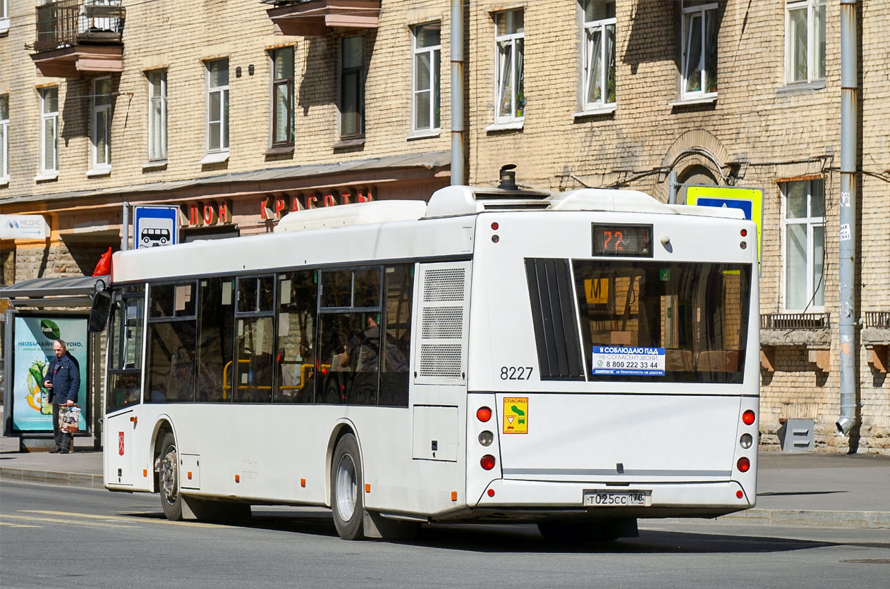 Санкт-Петербург, МАЗ-203.085 № 8227