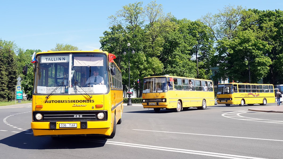 Эстония, Ikarus 260.37 № 1036; Санкт-Петербург — IV Петербургский парад ретро-транспорта 26 мая 2018 г.