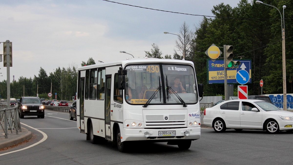 Ленинградская область, ПАЗ-320402-05 № О 305 СВ 47