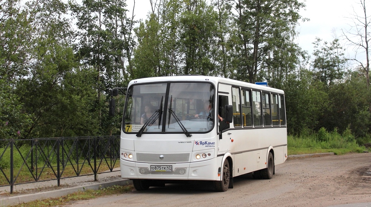 Ленинградская область, ПАЗ-320414-04 "Вектор" (1-2) № О 875 ТК 47