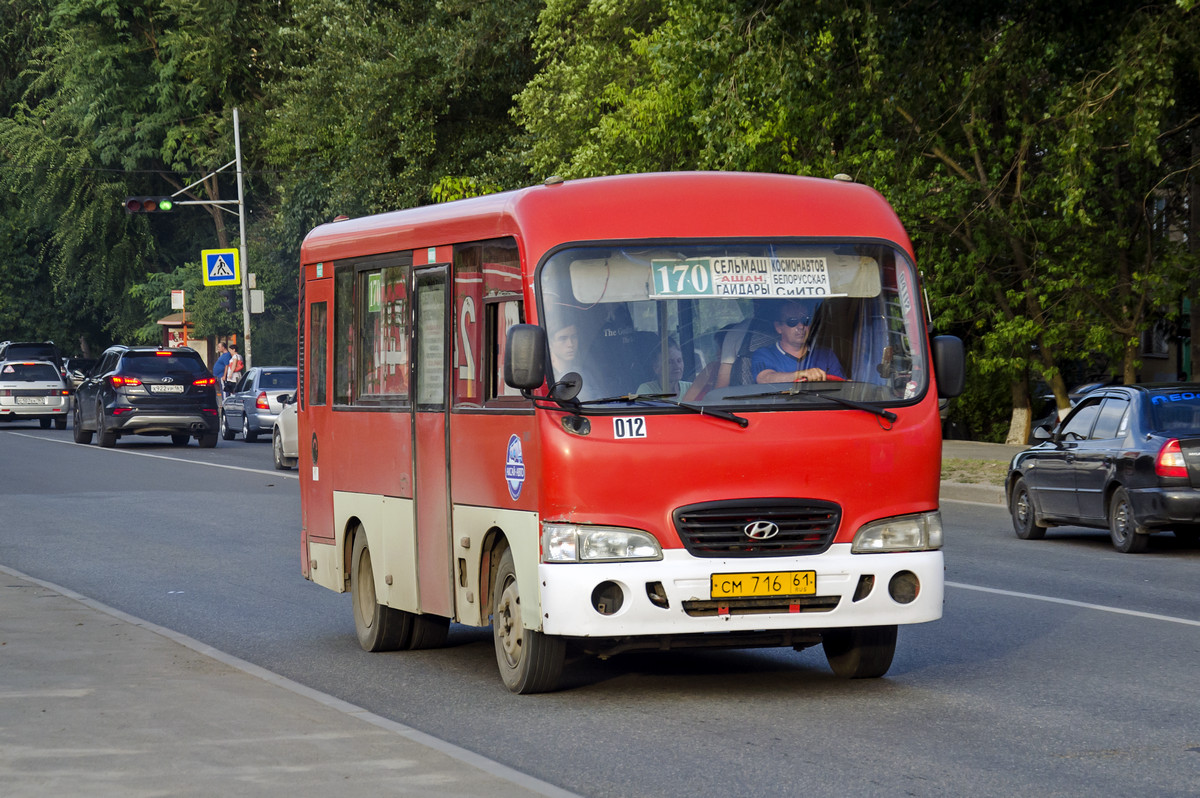 Rostov region, Hyundai County SWB C06 (ТагАЗ) # 012