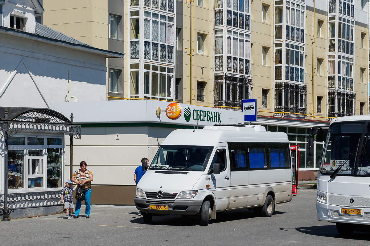 Тюменская область, Луидор-223204 (MB Sprinter Classic) № 486