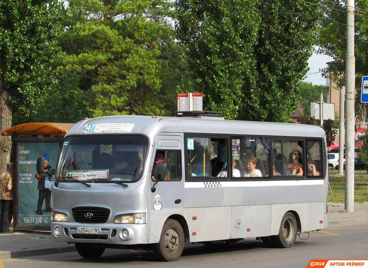 Ростовская область, Hyundai County LWB C11 (ТагАЗ) № 004