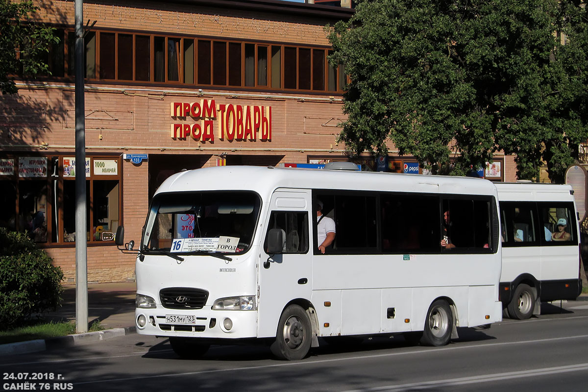 Krasnodar region, Hyundai County SWB C08 (TagAZ) № Н 531 МУ 123