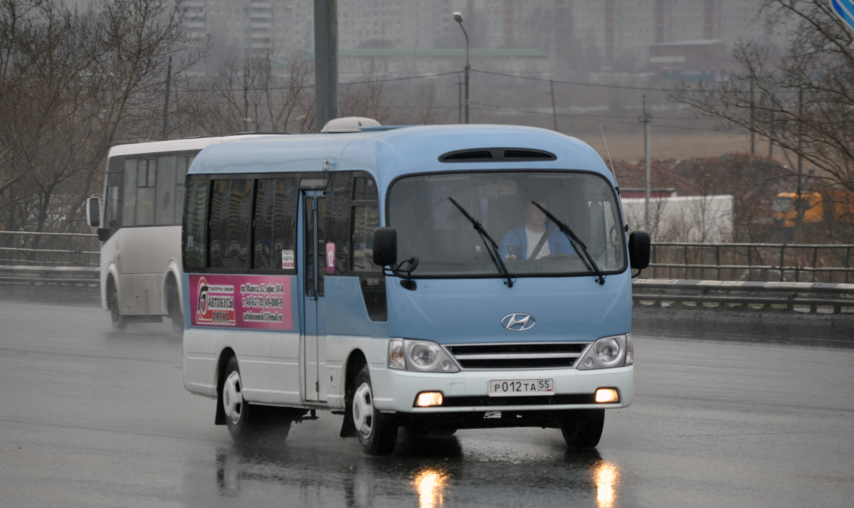 Омская область, Hyundai County Deluxe № 12