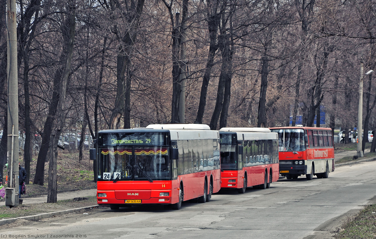 Запорожская область, MAN A26 NL313-15 № AP 5630 AA