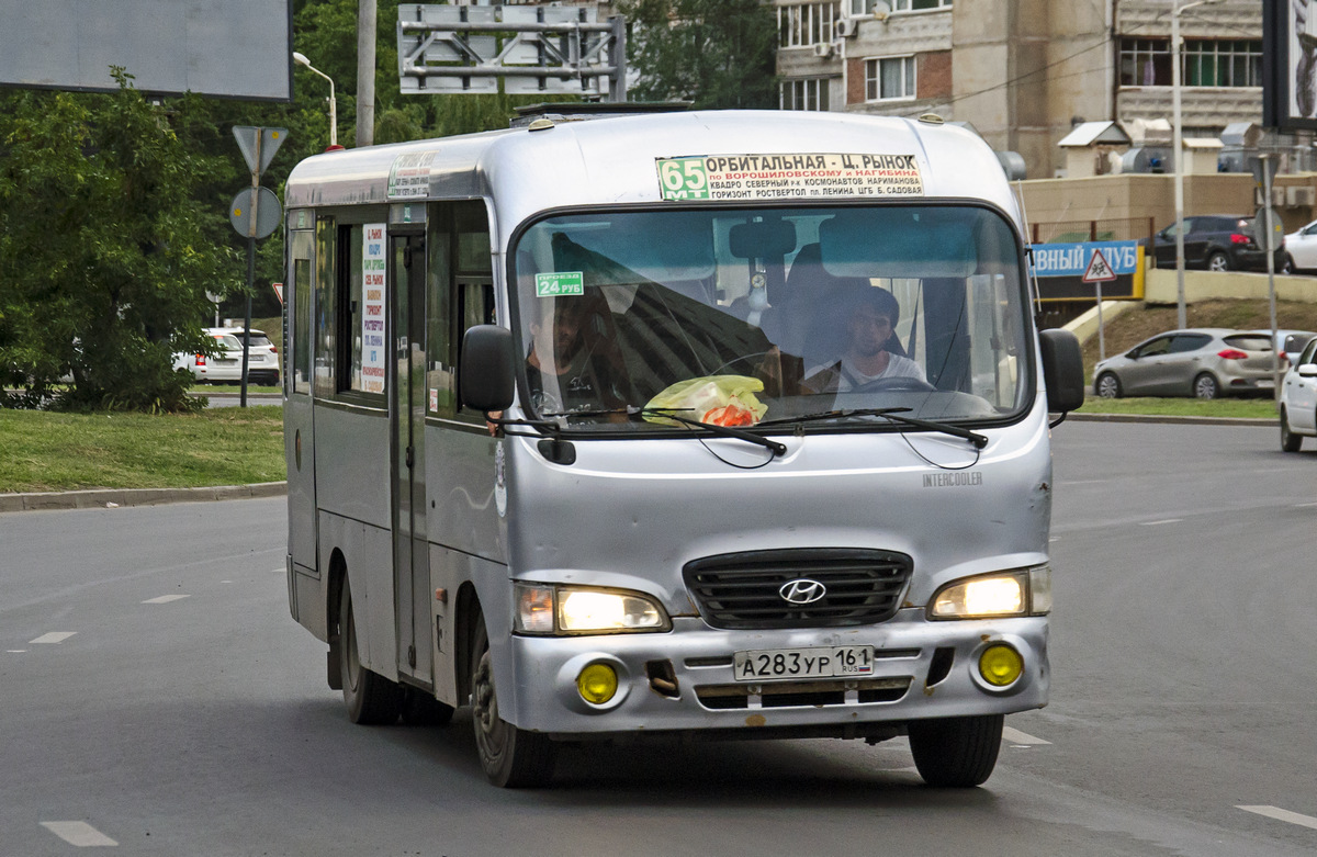 Ростовская область, Hyundai County SWB C08 (ТагАЗ) № 320