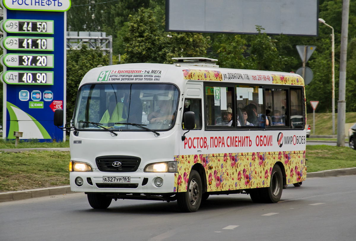 Ростовская область, Hyundai County LWB C11 (ТагАЗ) № 002390