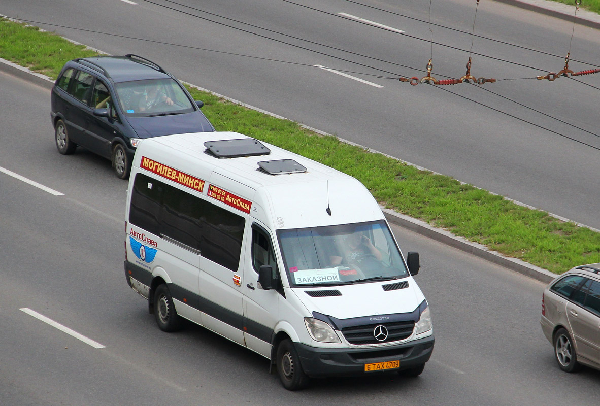 Могилёвская область, Актрия 3515N (MB Sprinter) № 6 ТАХ 4709 — Фото —  Автобусный транспорт