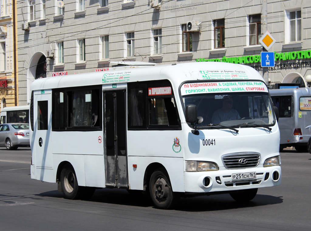 Ростовская область, Hyundai County SWB C08 (ТагАЗ) № 041