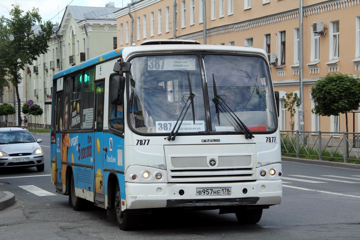 Санкт-Петербург, ПАЗ-320402-05 № 7877