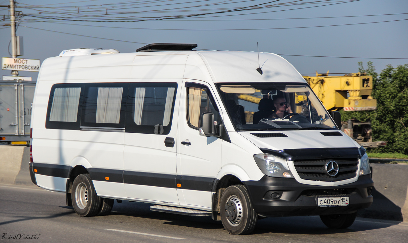 Новосибирская область, Луидор-22360C (MB Sprinter) № С 409 ОУ 154