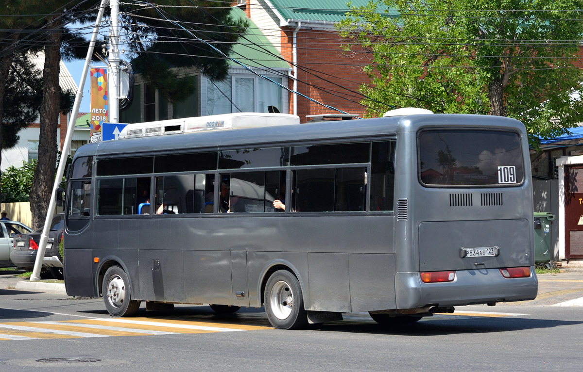 Краснодарский край, Hyundai AeroTown № Р 534 АЕ 123