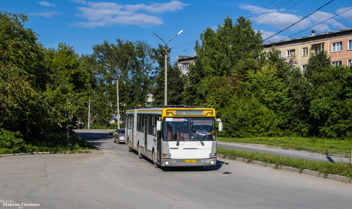 Новосибирская область, ЛиАЗ-6212.00 № КС 653 54